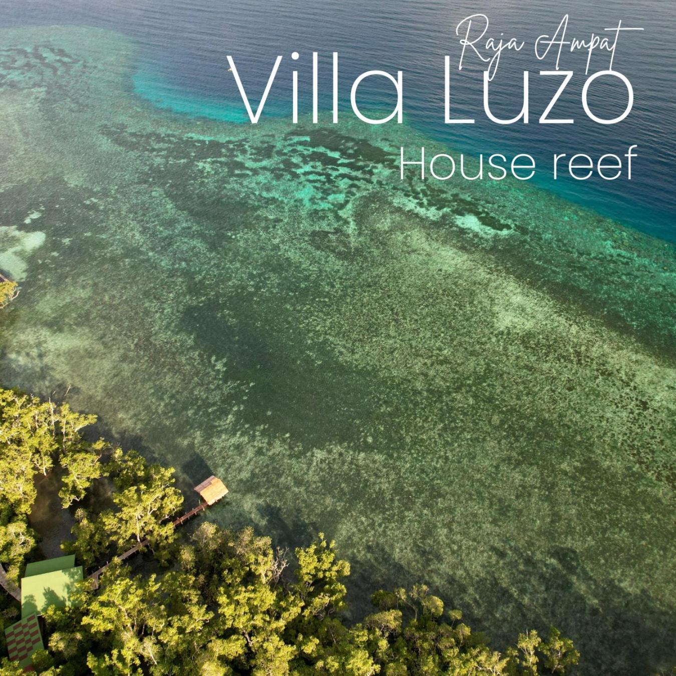 Villa Luzo & Tours Saonek Ngoại thất bức ảnh